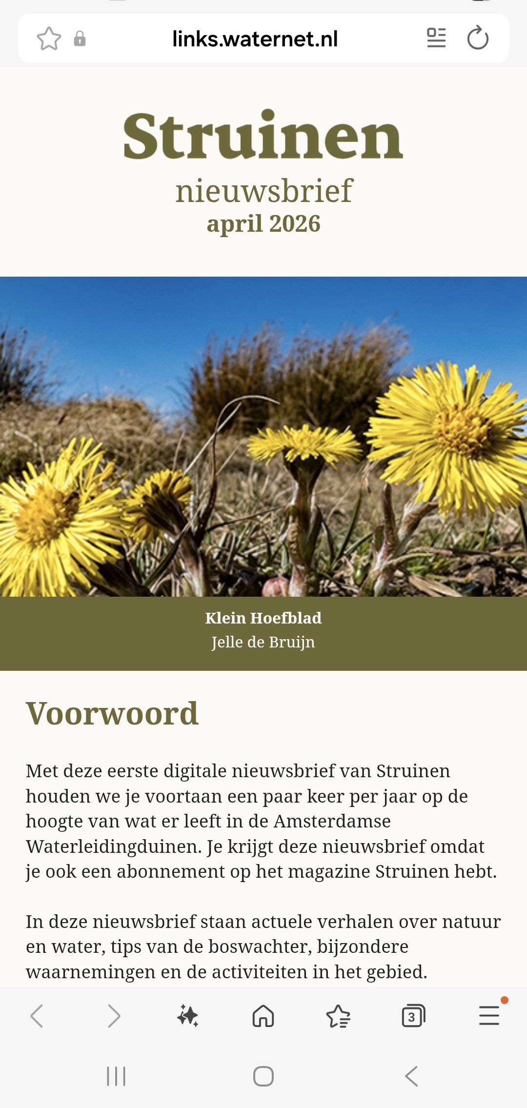 Screenshot van een e-mailnieuwsbrief