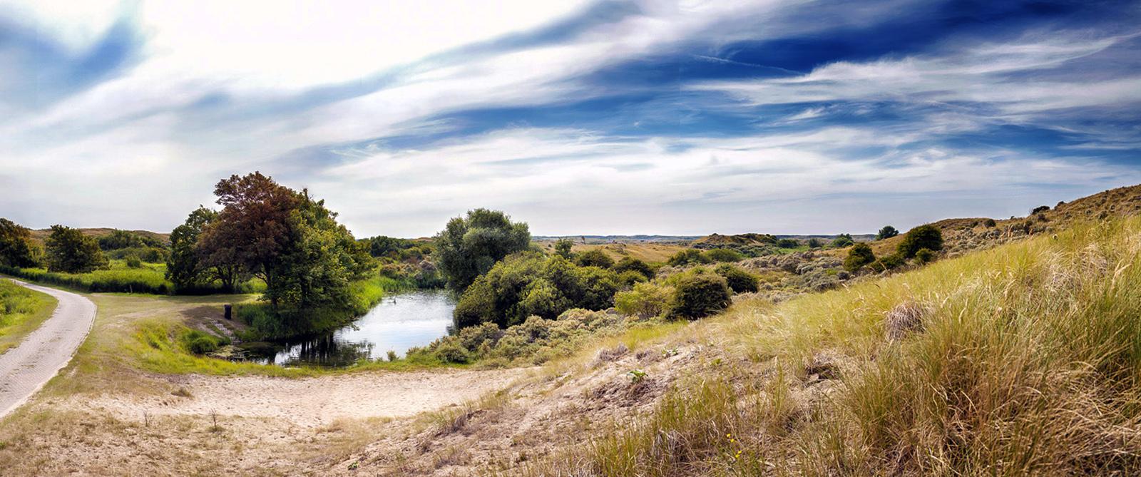Een kleine waterplas tussen de duinen, omringd door bomen met rode en groene bladeren, direct naast een wandelpad.