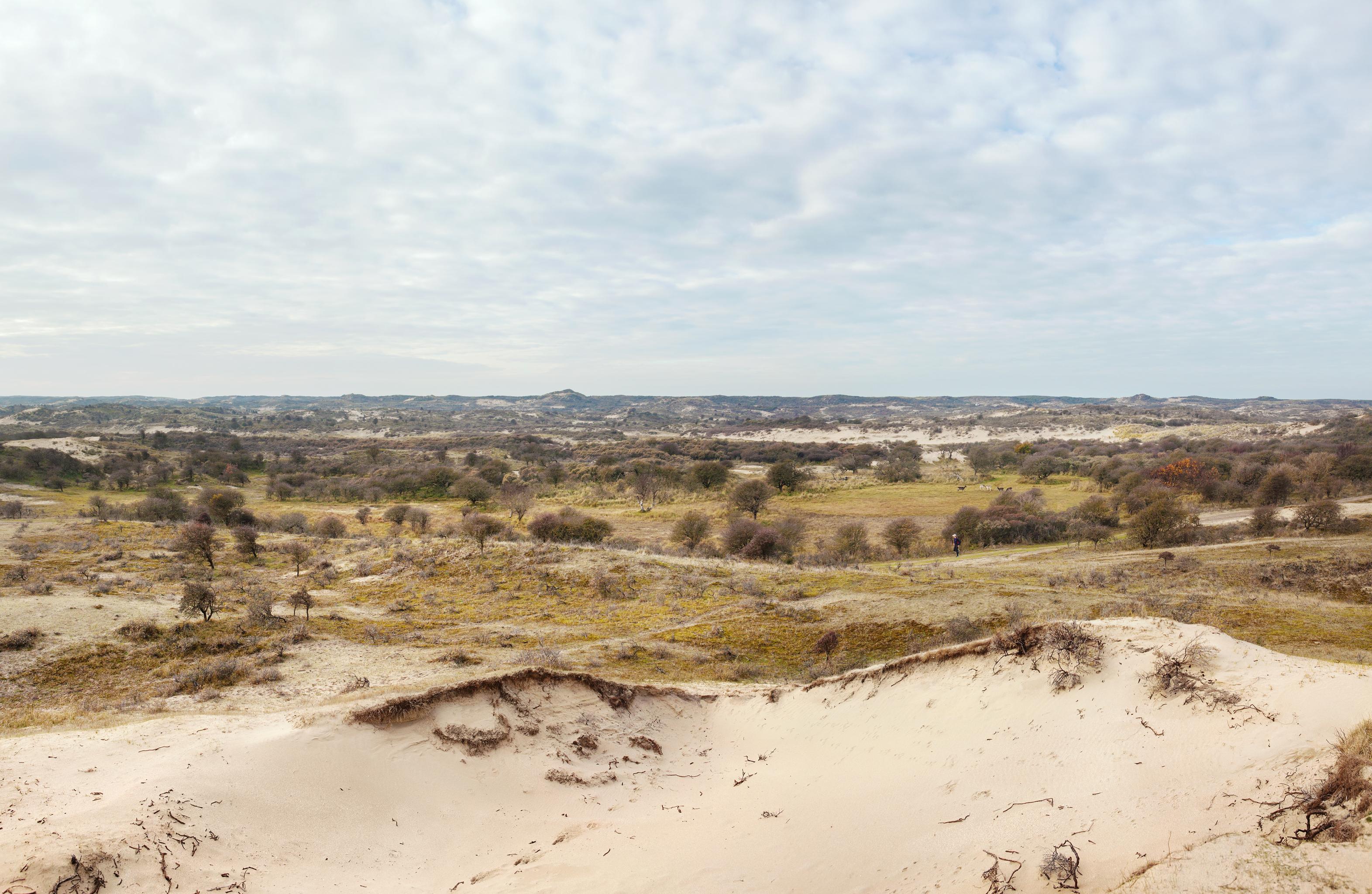 Panoramafoto met zicht op een wandelaar