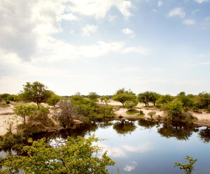 Grote plas tussen de duinen