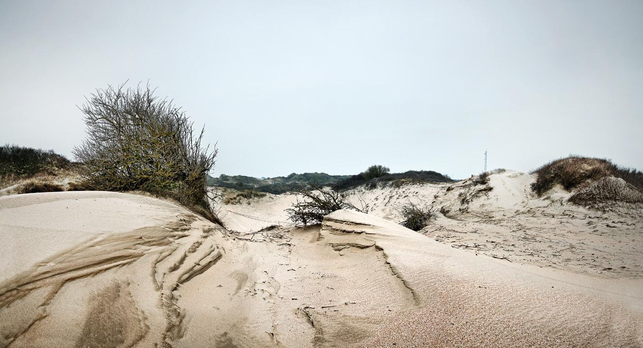 Duinlandschap De Blink