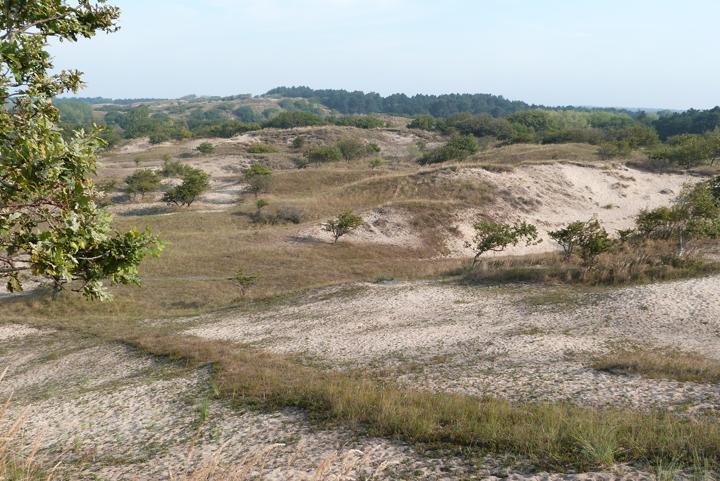Duinlandschap