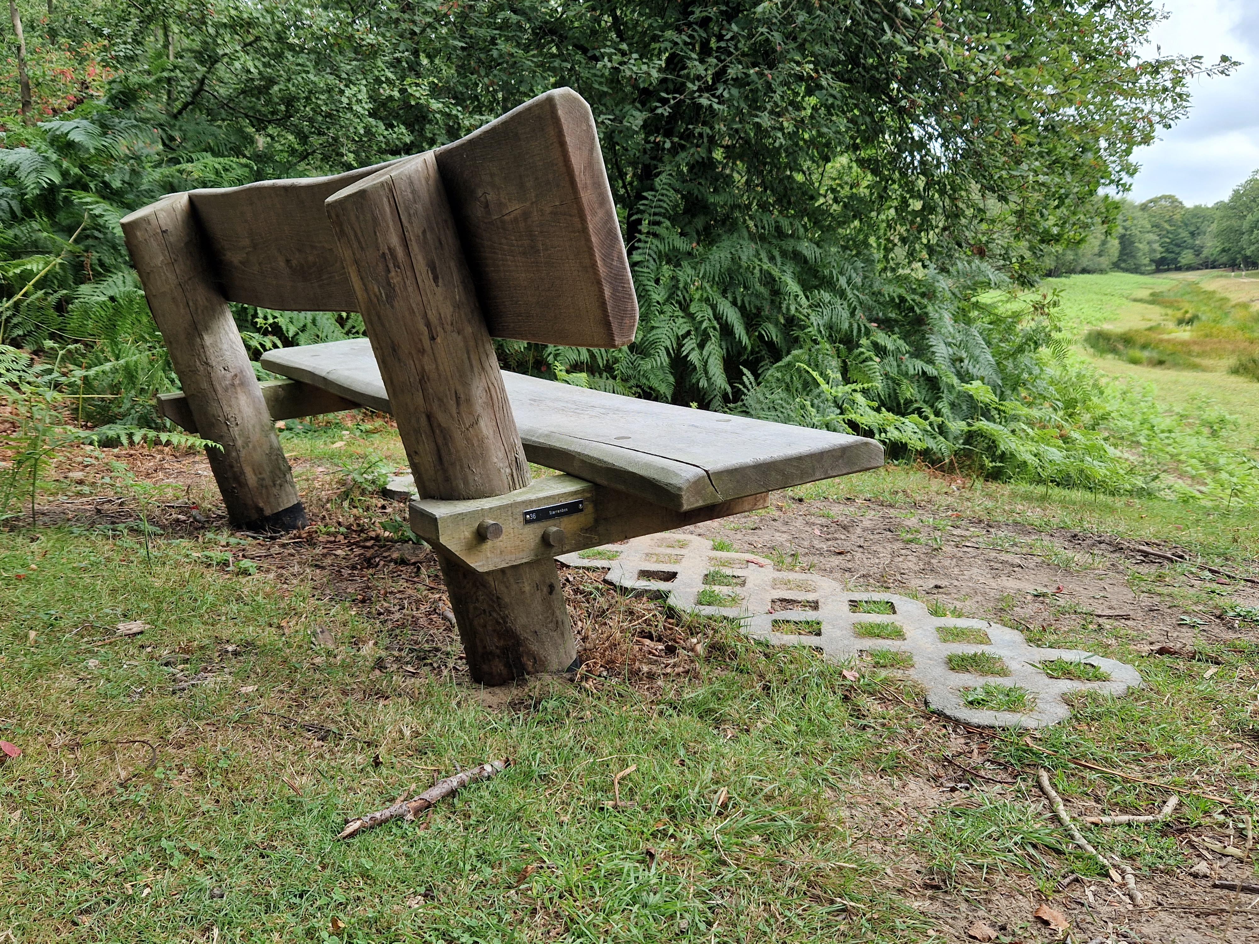 Bankje in de duinen met uitzicht op een langzaam stromende duinrel.