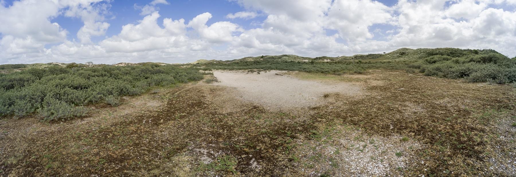 Duinlandschap van het Zeeveld noord