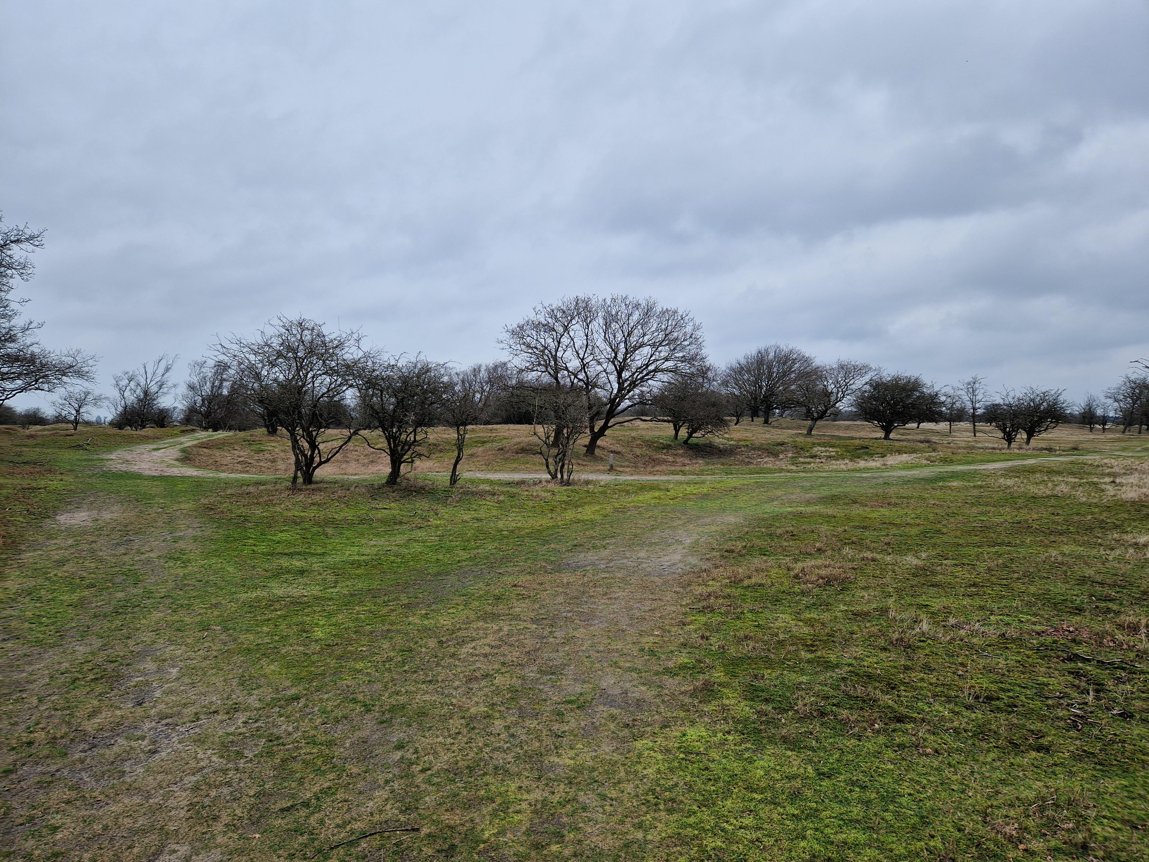 Duinpaden met afslag op het Groot Sprenkelveld. 
