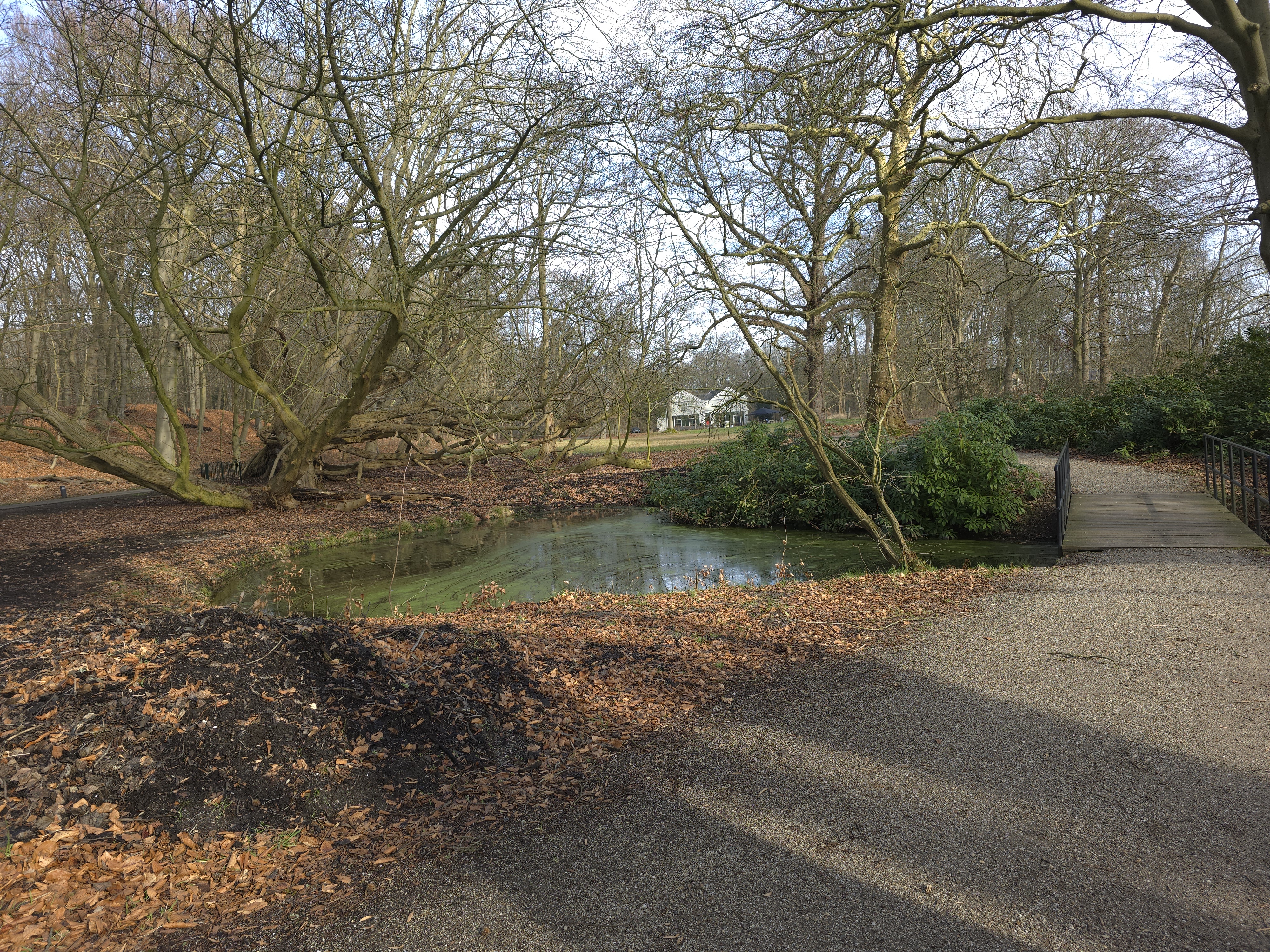 Wandelpad met brug en doorkijkje naar Gasterij Leyduin