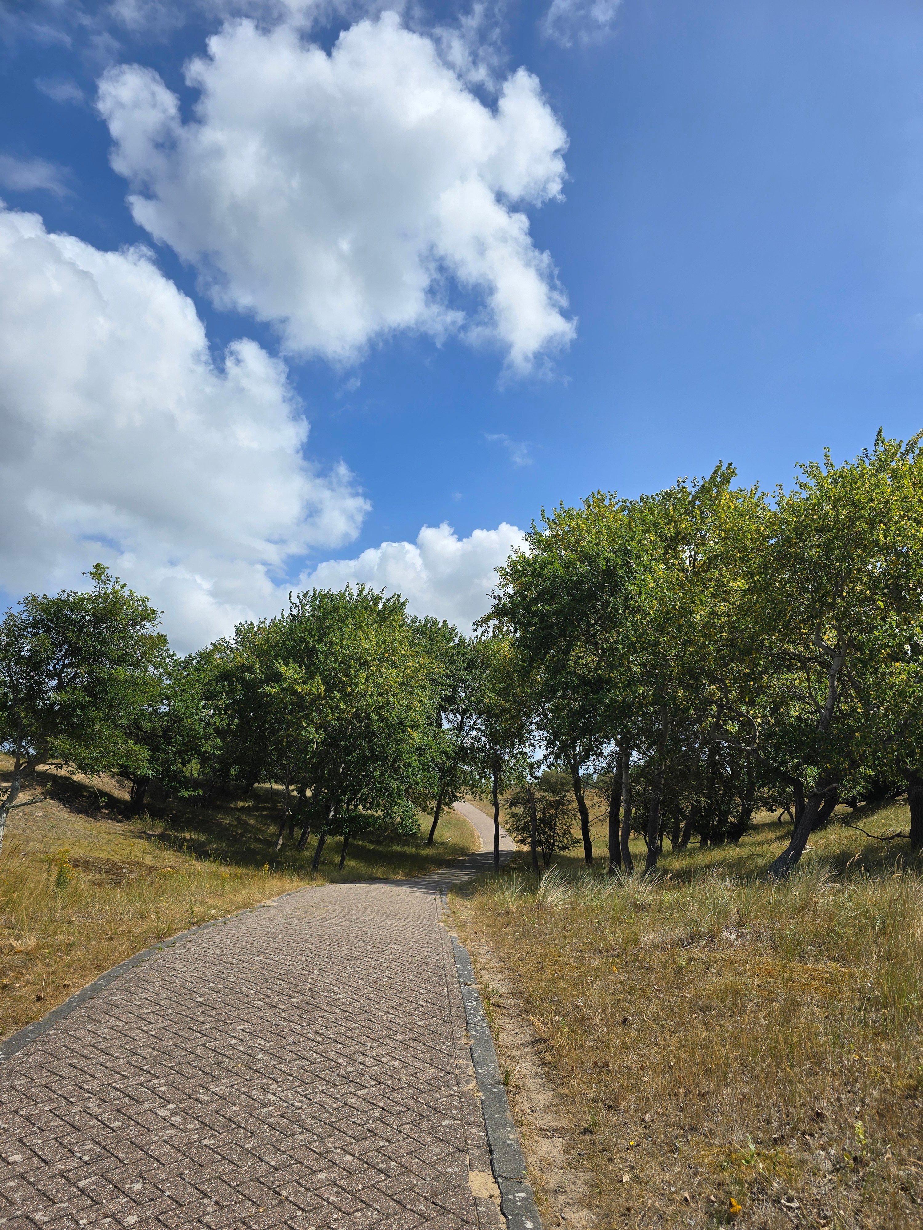Slingerend klinkerpad dat omhoog loopt door het duinlandschap