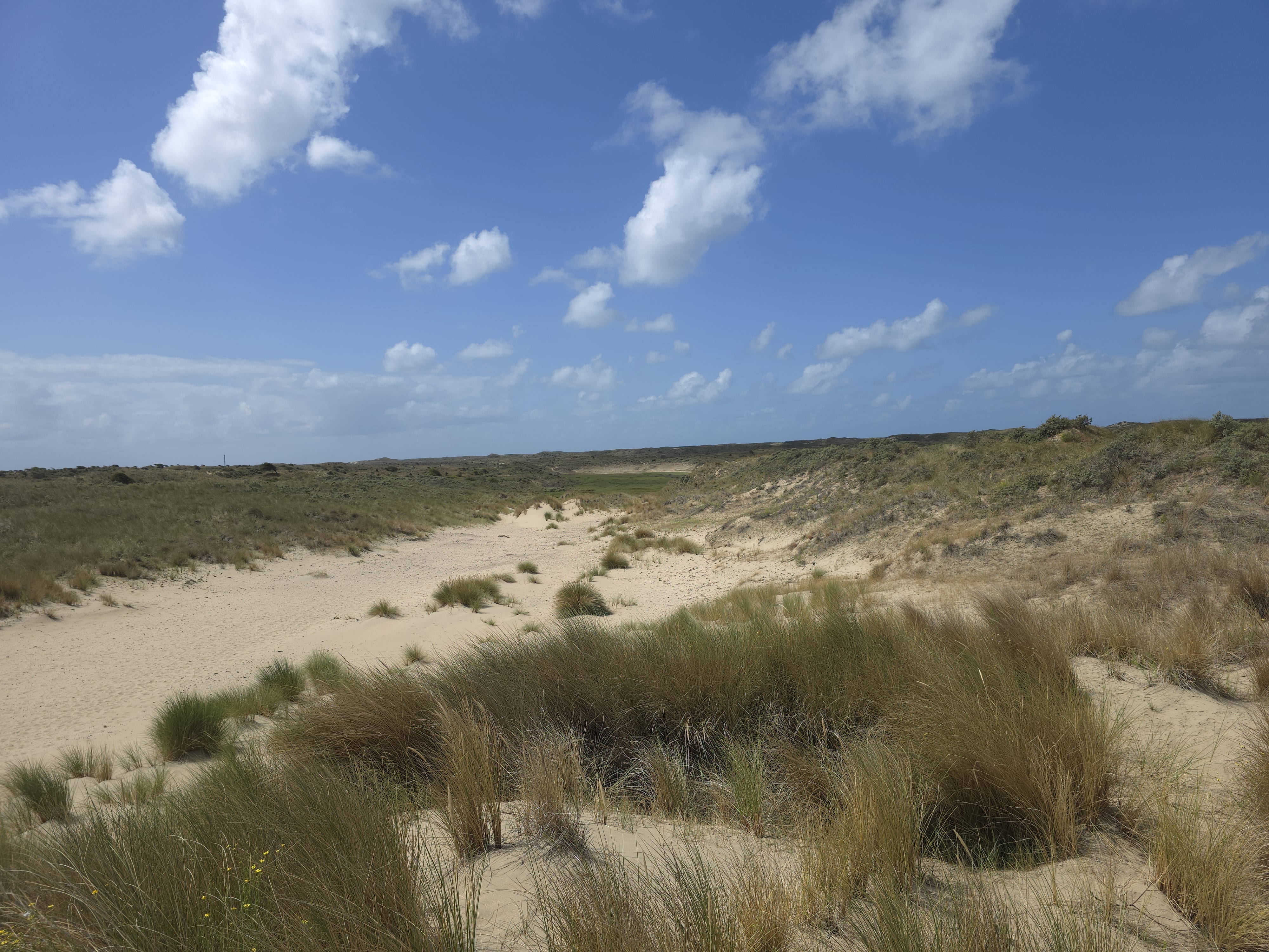 Uitzicht vanaf een duintop over het witte duinzand