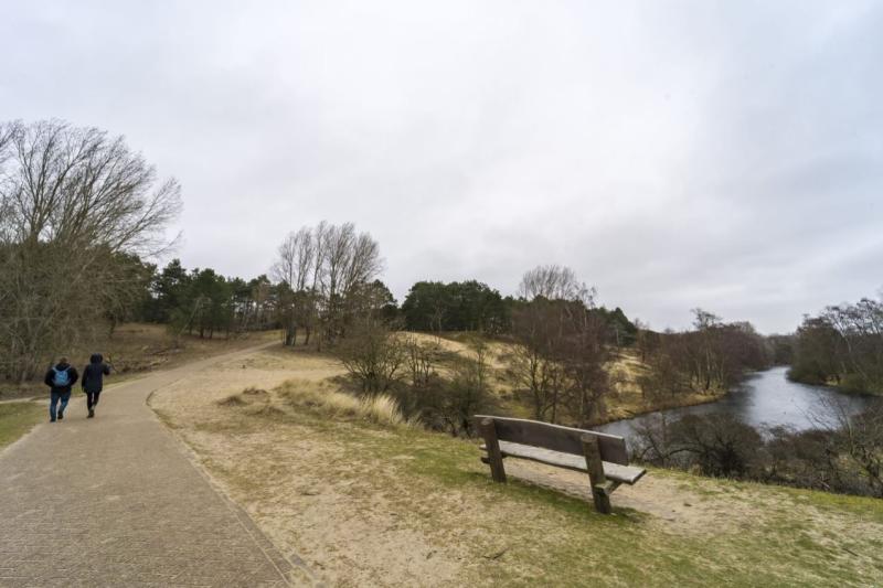 Bomen rondom het Sprenkelkanaal