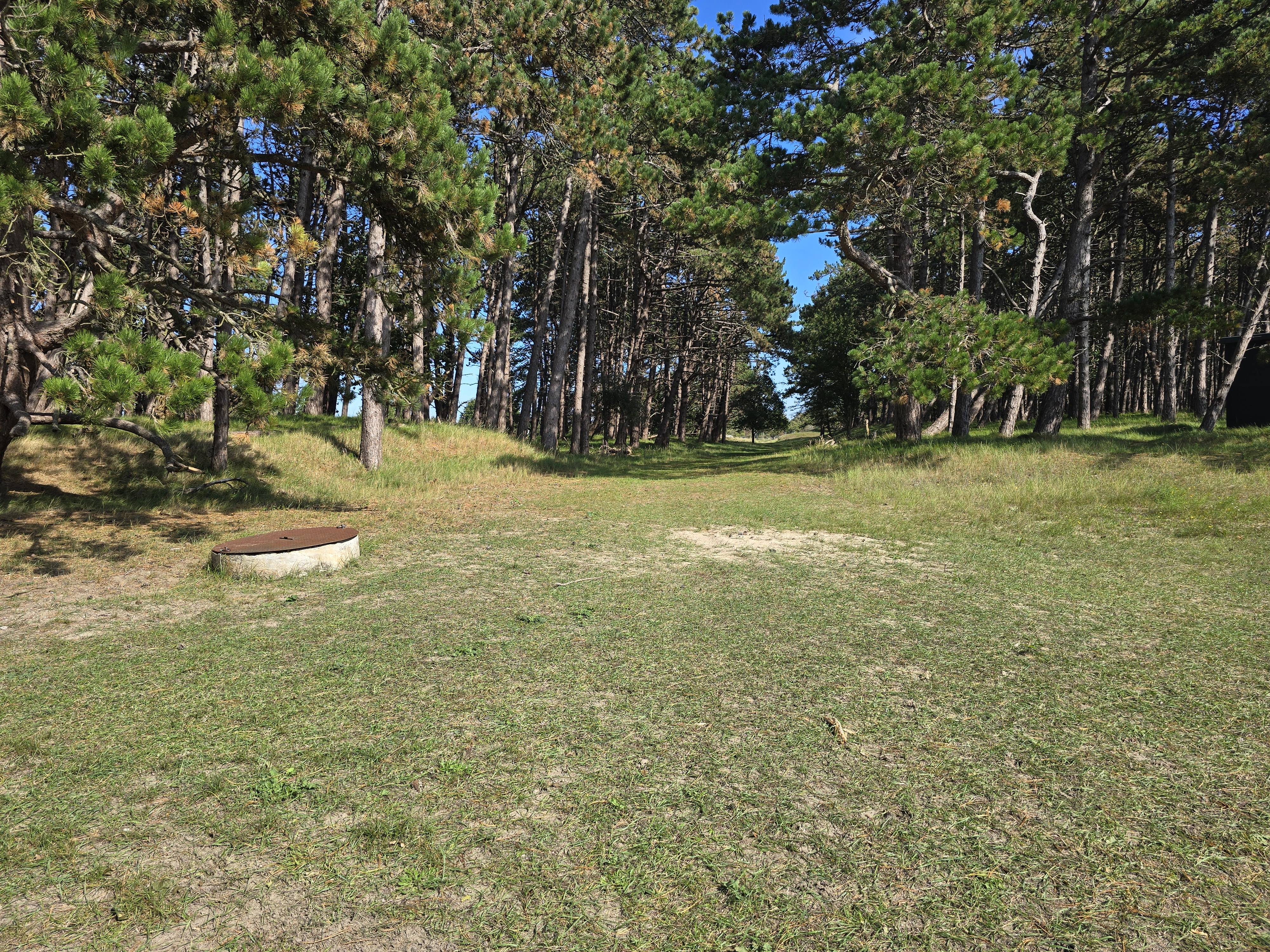 Breed graspad dat heel vroeger een toegangsweg was naar het renbaanveld.