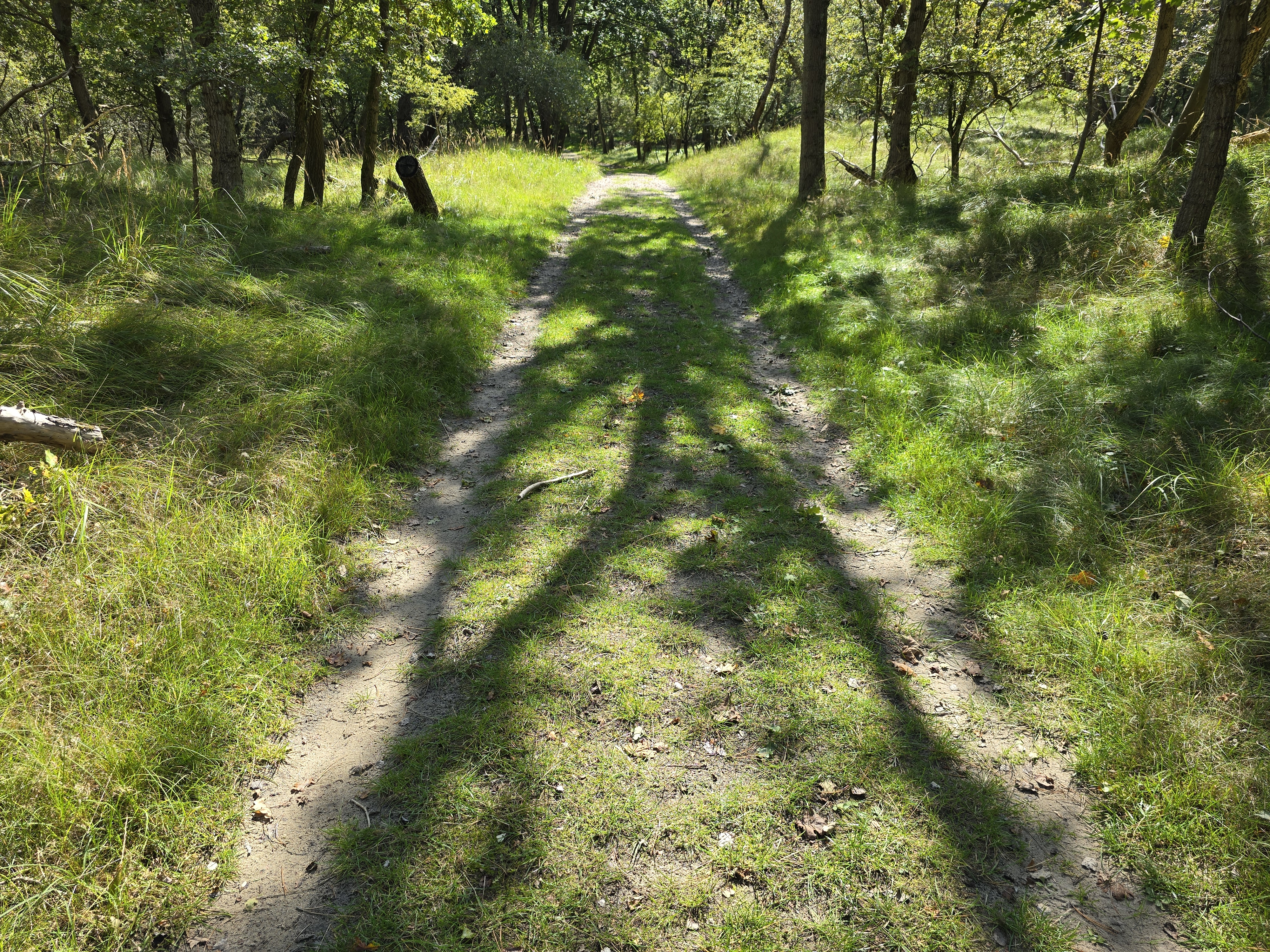 Een karrenspoor op een graspad