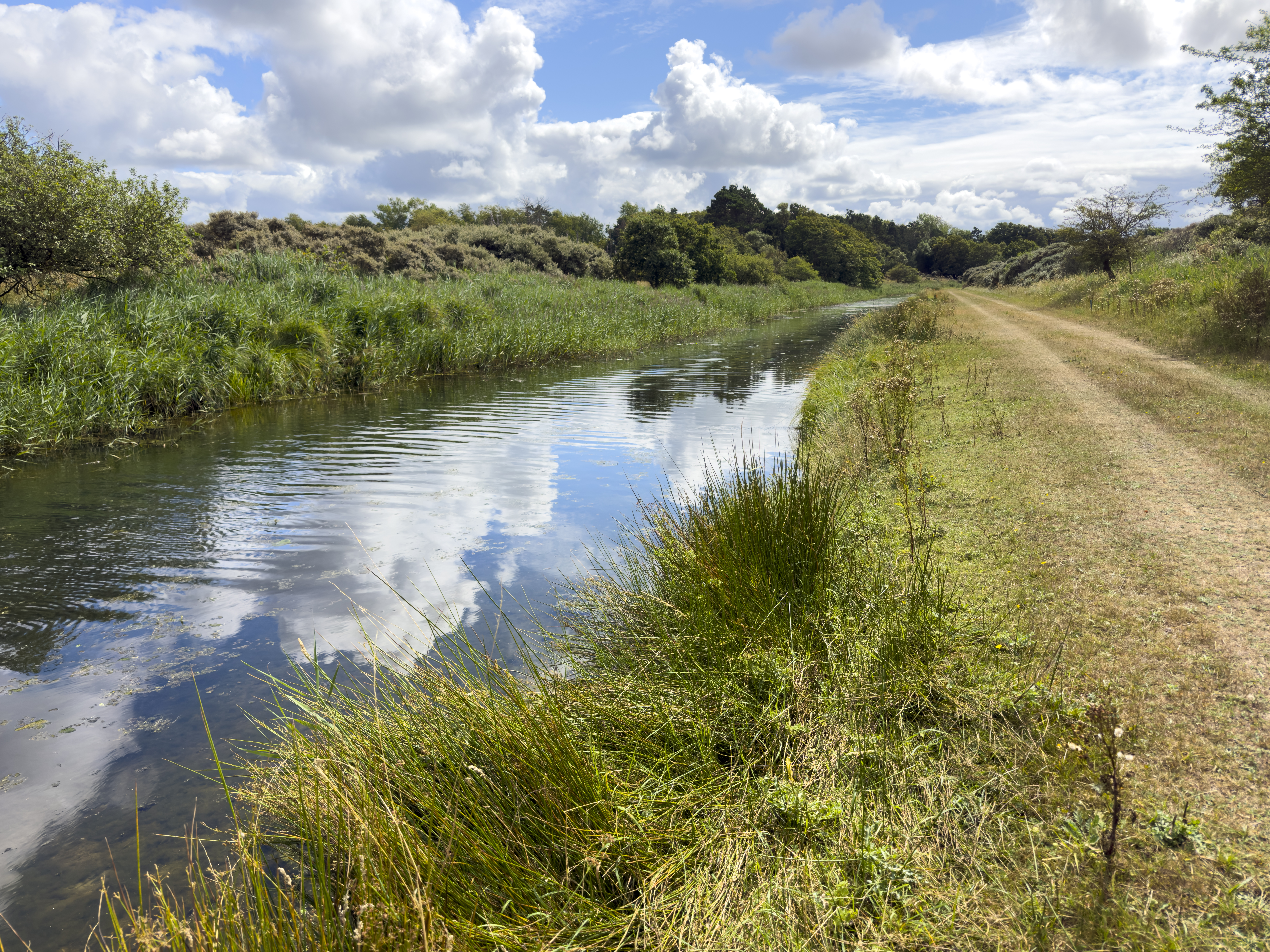 Foto van oevers van Barnaertkanaal