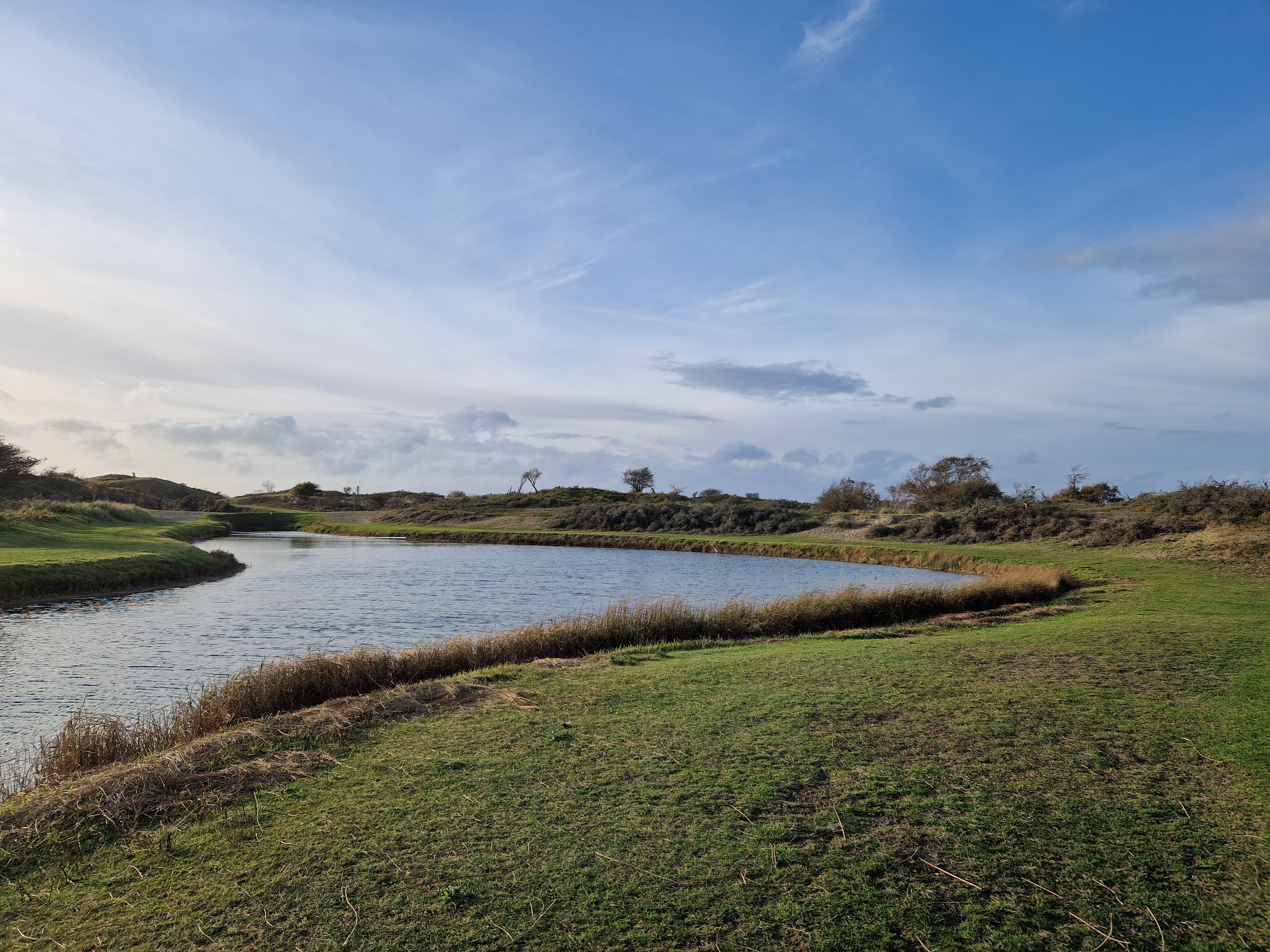 Zicht op de zwanenplas in de waterleidingduinen