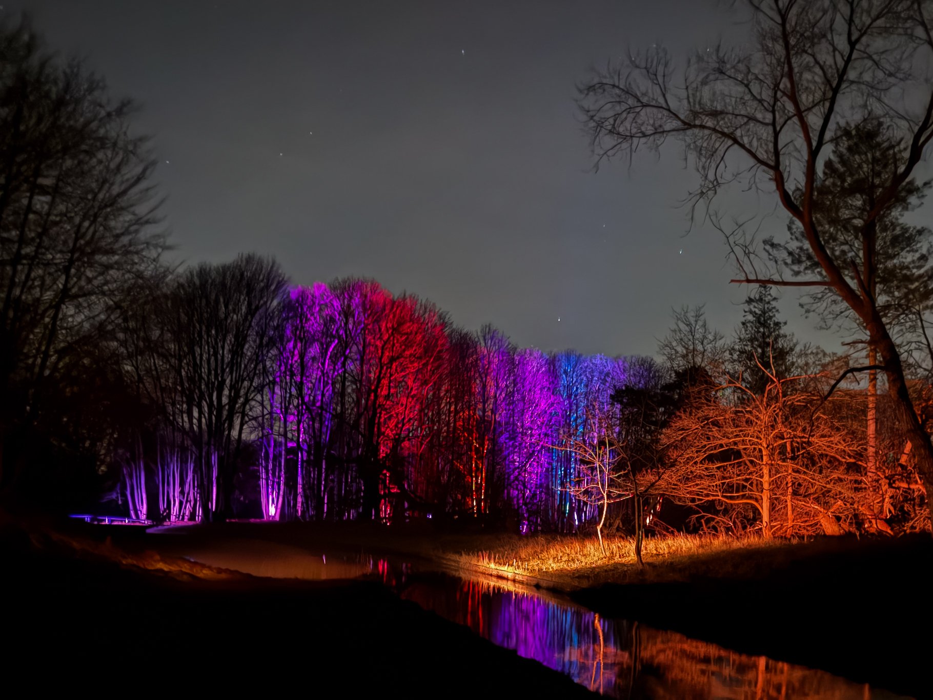 Met kleuren uitgelichte bomen in het duin op de donkerste dag van het jaar