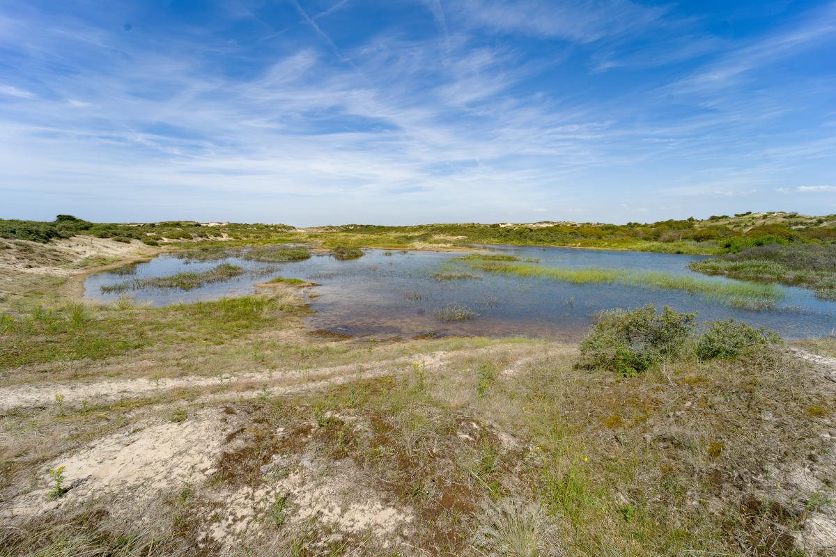 Ondergelopen duingebied met een pad dat eindigt in het water