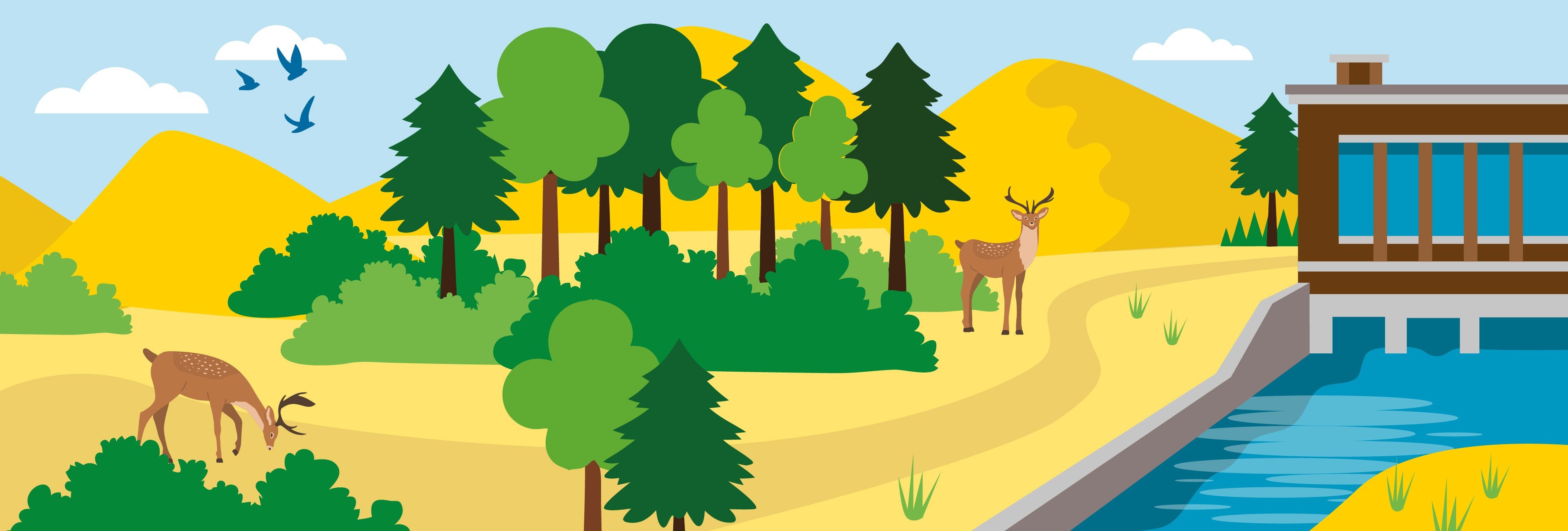 Tekening van het duingebied Amsterdamse Waterleidingduinen met damhert