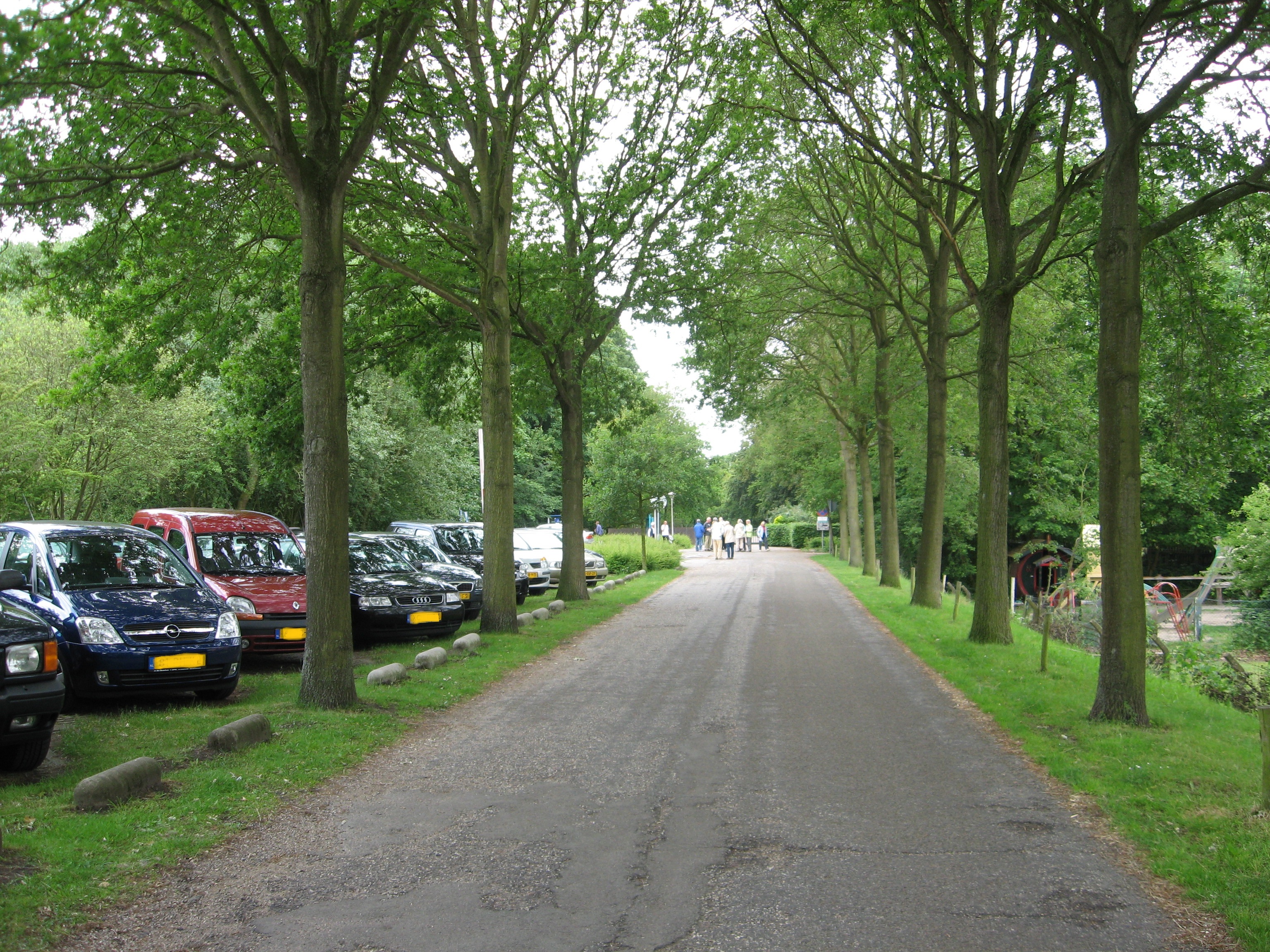 Toegangsweg naar een ingang van de duinen met links een rij geparkeerde auto's.