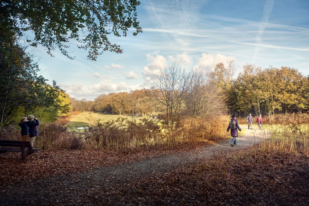 Wandelaars op pad en met verrekijker in de waterleidingduinen