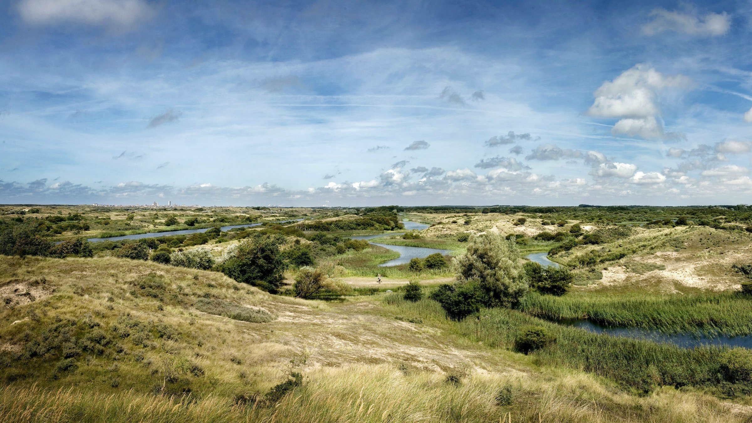 Uitzicht over de Amsterdamse Waterleidingduinen