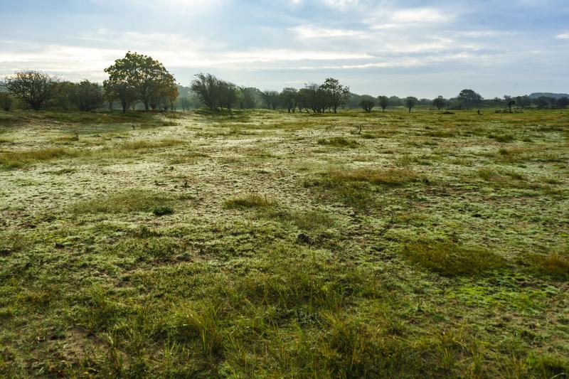 Duinlandschap